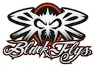 Black Flys mrka